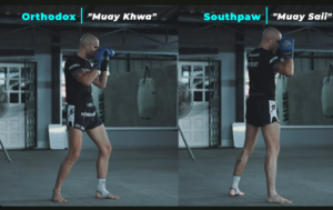 thai bixing stance